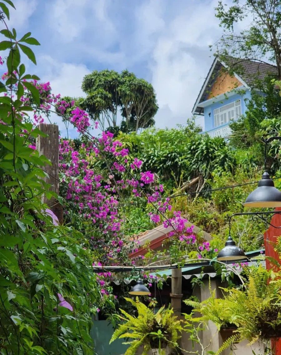 Homestay xinh xắn hẻm xe máy Đào Duy Từ P4 Đà Lạt - 137m2 Homestay xinh xắn hẻm xe máy Đào Duy Từ P4 Đà Lạt - 137m2