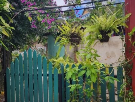 Homestay xinh xắn hẻm xe máy Đào Duy Từ P4 Đà Lạt - 137m2