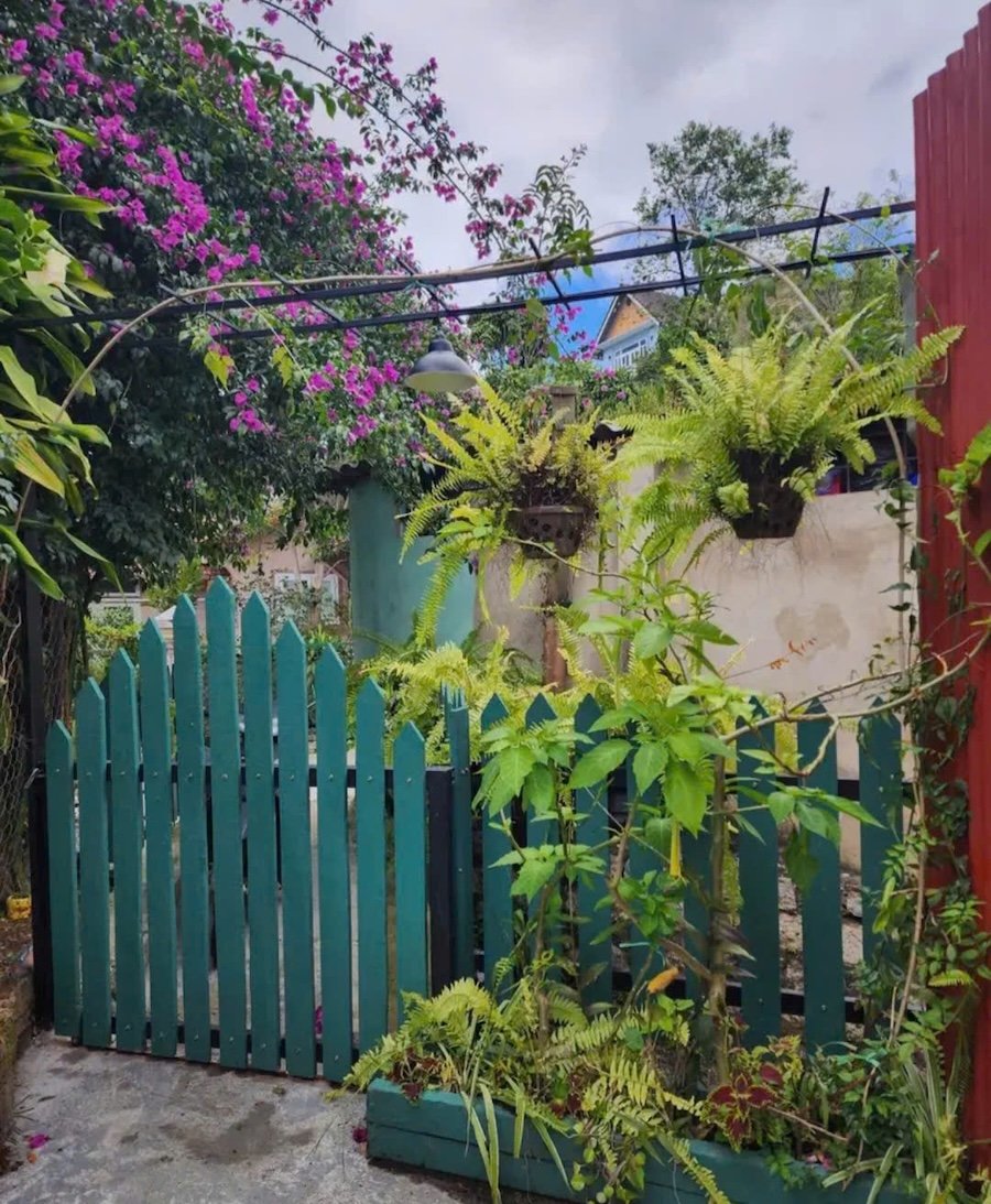 Homestay xinh xắn hẻm xe máy Đào Duy Từ P4 Đà Lạt - 137m2 Homestay xinh xắn hẻm xe máy Đào Duy Từ P4 Đà Lạt - 137m2