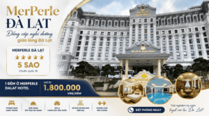 Merperle Đà Lạt mấy sao và 1 đêm ở Merperle dalat hotel giá bao nhiêu