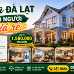 Villa Đà Lạt cho 8 người giá rẻ
