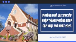 Phường 6 Đà Lạt sau sáp nhập thành phường nào? Cập nhật mới nhất 2026