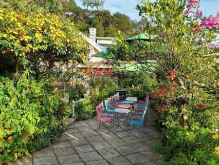 Villa Homestay Đống Đa Đà Lạt View Đẹp