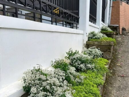 Biệt Thự 2 Mặt Tiền hẻm oto Đường Triệu Việt Vương, Đà Lạt – Diện Tích Khủng 434m²