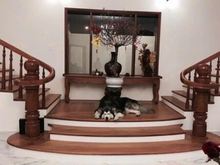 Villa đẳng cấp Mặt Tiền KQH Viện Nghiên Cứu hạt Nhân, Phường 11, Đà Lạt