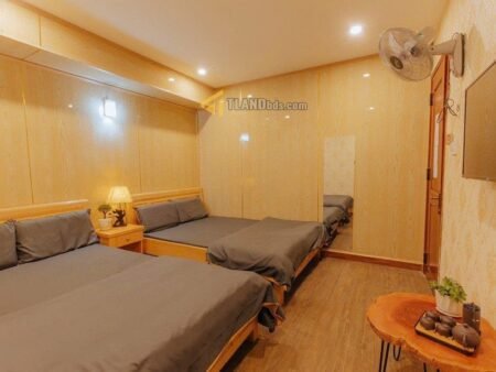 Khách sạn 4 tầng MT Phạm Ngũ Lão P3 Đà Lạt - 93.5 m² - 21PN - 24 tỷ