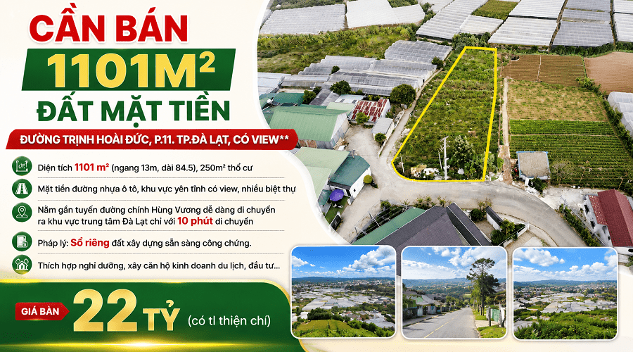 Bán 1101m2 đất mặt tiền Trịnh Hoài Đức, Phường 11, Đà Lạt – View đẹp, giá tốt Bán 1101m2 đất mặt tiền Trịnh Hoài Đức, Phường 11, Đà Lạt – View đẹp, giá tốt