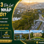 Phường 3 Đà Lạt Sau Sáp Nhập và Tiềm Năng Bất Động Sản