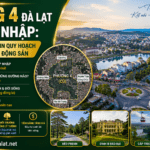 Phường 4 Đà Lạt Sau Sáp Nhập là gì và Tiềm Năng Bất Động Sản