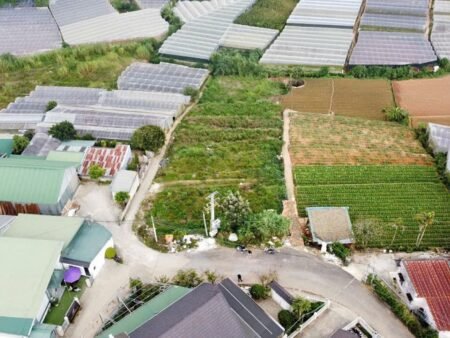 Bán 1101m2 đất mặt tiền Trịnh Hoài Đức, Phường 11, Đà Lạt – View đẹp, giá tốt