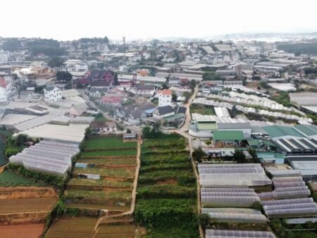 Bán 1101m2 đất mặt tiền Trịnh Hoài Đức, Phường 11, Đà Lạt – View đẹp, giá tốt