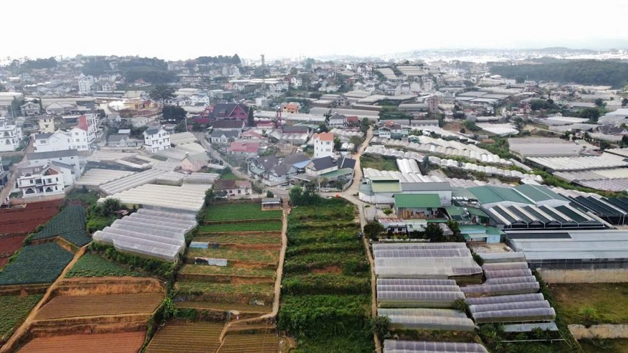 Bán 1101m2 đất mặt tiền Trịnh Hoài Đức, Phường 11, Đà Lạt – View đẹp, giá tốt Bán 1101m2 đất mặt tiền Trịnh Hoài Đức, Phường 11, Đà Lạt – View đẹp, giá tốt