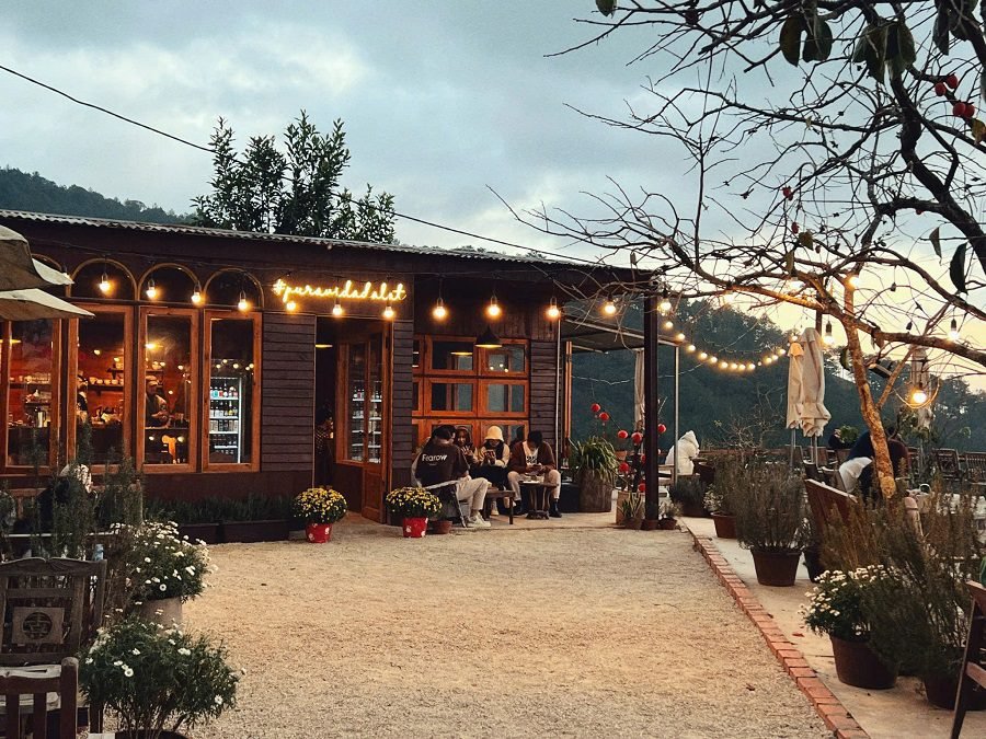 Bán khu cà phê view đẹp Đà Lạt – sở hữu view 360 độ rừng thông và hoàng hôn triệu đô Bán khu cà phê view đẹp Đà Lạt – sở hữu view 360 độ rừng thông và hoàng hôn triệu đô
