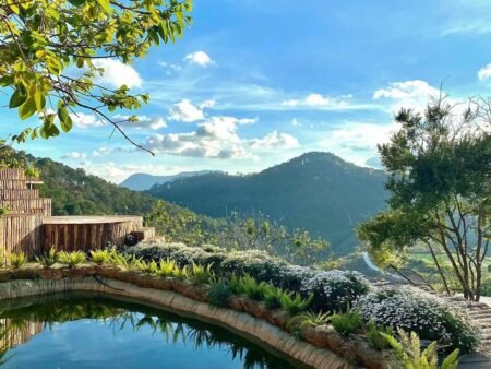 Bán khu cà phê view đẹp Đà Lạt – sở hữu view 360 độ rừng thông và hoàng hôn triệu đô
