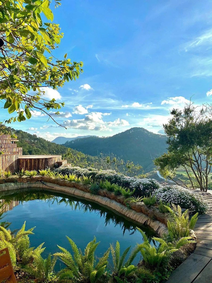 Bán khu cà phê view đẹp Đà Lạt – sở hữu view 360 độ rừng thông và hoàng hôn triệu đô Bán khu cà phê view đẹp Đà Lạt – sở hữu view 360 độ rừng thông và hoàng hôn triệu đô
