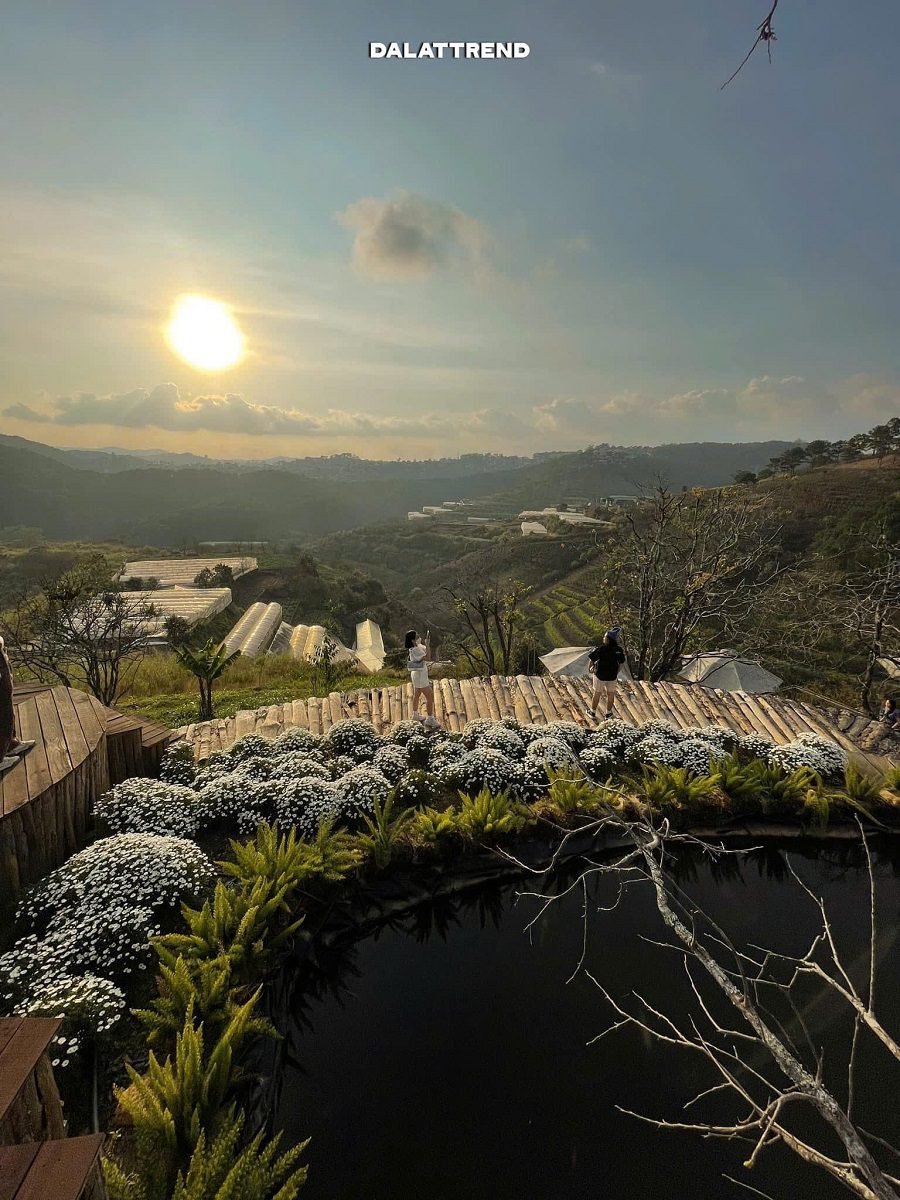 Bán khu cà phê view đẹp Đà Lạt – sở hữu view 360 độ rừng thông và hoàng hôn triệu đô Bán khu cà phê view đẹp Đà Lạt – sở hữu view 360 độ rừng thông và hoàng hôn triệu đô