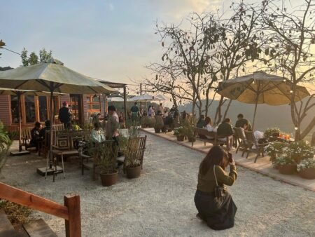 Bán khu cà phê view đẹp Đà Lạt – sở hữu view 360 độ rừng thông và hoàng hôn triệu đô