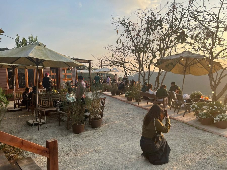 Bán khu cà phê view đẹp Đà Lạt – sở hữu view 360 độ rừng thông và hoàng hôn triệu đô Bán khu cà phê view đẹp Đà Lạt – sở hữu view 360 độ rừng thông và hoàng hôn triệu đô
