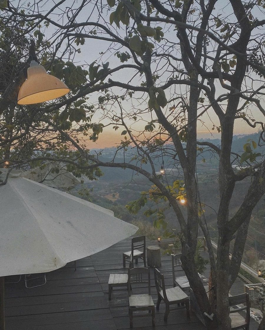 Bán khu cà phê view đẹp Đà Lạt – sở hữu view 360 độ rừng thông và hoàng hôn triệu đô Bán khu cà phê view đẹp Đà Lạt – sở hữu view 360 độ rừng thông và hoàng hôn triệu đô