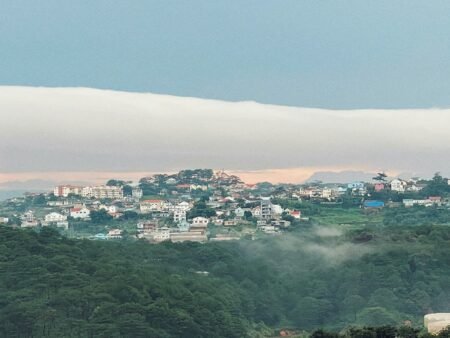 Bán khu cà phê view đẹp Đà Lạt – sở hữu view 360 độ rừng thông và hoàng hôn triệu đô