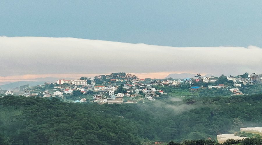 Bán khu cà phê view đẹp Đà Lạt – sở hữu view 360 độ rừng thông và hoàng hôn triệu đô Bán khu cà phê view đẹp Đà Lạt – sở hữu view 360 độ rừng thông và hoàng hôn triệu đô