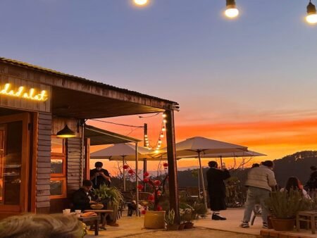 Bán khu cà phê view đẹp Đà Lạt – sở hữu view 360 độ rừng thông và hoàng hôn triệu đô