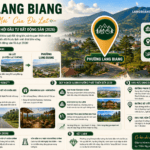 Phường 7 Đà Lạt sau sáp nhập tên là gì tiềm năng hay không?