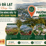 Phường 5 Đà Lạt sau sáp nhập: Tên gọi mới và Những thay đổi quan trọng