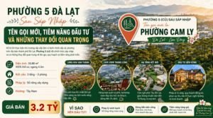Phường 5 Đà Lạt sau sáp nhập: Tên gọi mới và Những thay đổi quan trọng