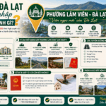 Phường 8 Đà Lạt sau sáp nhập đổi tên thành gì? Cập nhật mới nhất 2026