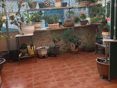Nhà 2 tầng Hẻm Ô Tô Đường Triệu Việt Vương Đà Lạt 53.2m² – 4.85 Tỷ