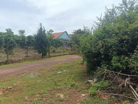 Lô đất thổ có view Măng Ling P7 Đà Lạt - 214 m2 - 3.2 tỷ