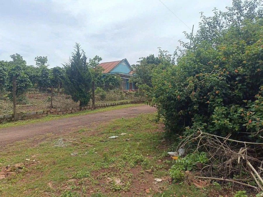 Lô đất thổ có view Măng Ling P7 Đà Lạt - 214 m2 - 3.2 tỷ Lô đất thổ có view Măng Ling P7 Đà Lạt - 214 m2 - 3.2 tỷ