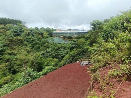 Lô đất thổ có view Măng Ling P7 Đà Lạt - 214 m2 - 3.2 tỷ