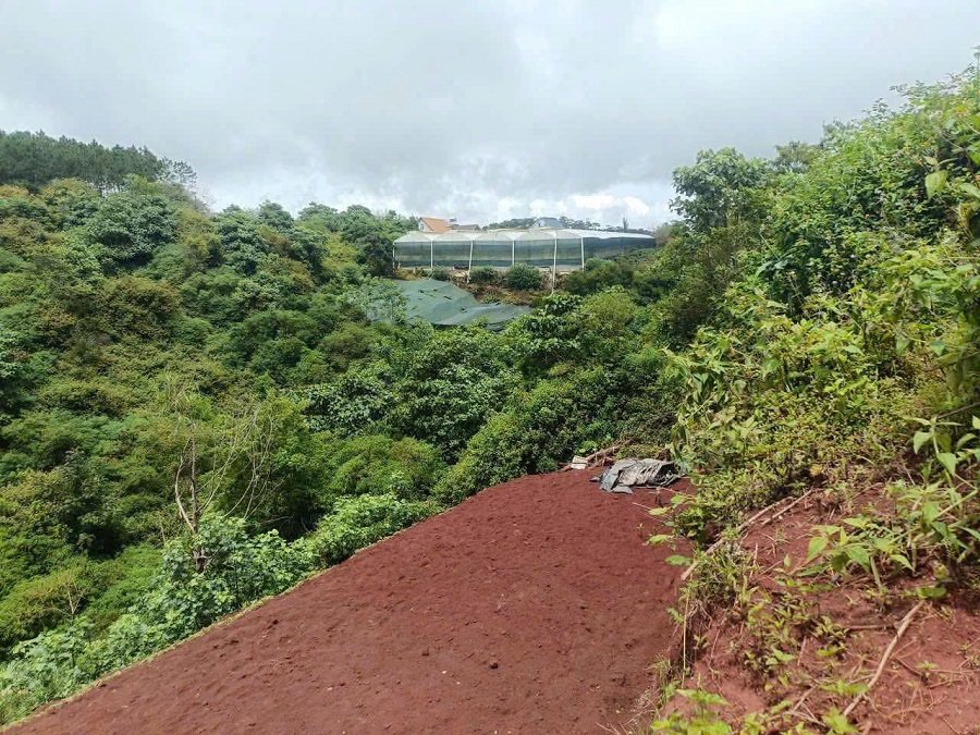 Lô đất thổ có view Măng Ling P7 Đà Lạt - 214 m2 - 3.2 tỷ Lô đất thổ có view Măng Ling P7 Đà Lạt - 214 m2 - 3.2 tỷ