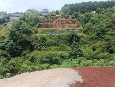 Lô đất thổ có view Măng Ling P7 Đà Lạt - 214 m2 - 3.2 tỷ