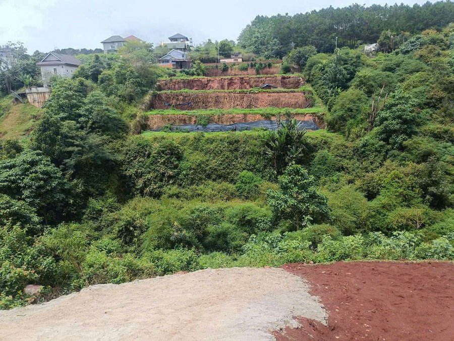 Lô đất thổ có view Măng Ling P7 Đà Lạt - 214 m2 - 3.2 tỷ Lô đất thổ có view Măng Ling P7 Đà Lạt - 214 m2 - 3.2 tỷ