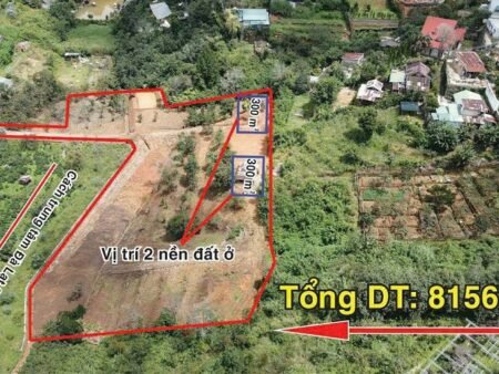 Villa thô trên 8.150m2 Đất Thung Lũng Hoàng Hoa Thám - Khe Sanh Đà Lạt - 3 Sổ Riêng - 38 Tỷ
