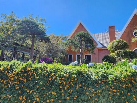Villa Gỗ Hai Mặt Tiền Đống Đa P3 cũ Đà Lạt 478.55m2 - 53 Tỷ