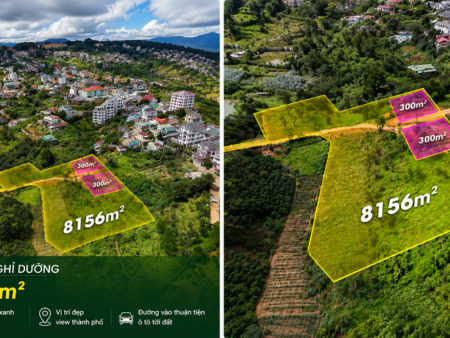 Villa thô trên 8.150m2 Đất Thung Lũng Hoàng Hoa Thám - Khe Sanh Đà Lạt - 3 Sổ Riêng - 38 Tỷ