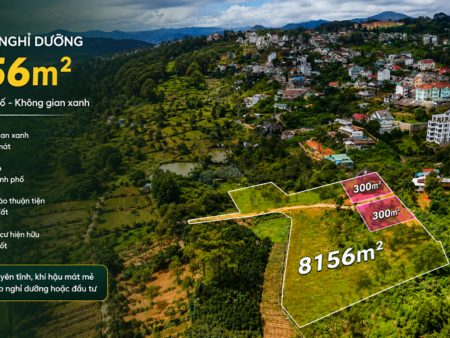 Villa thô trên 8.150m2 Đất Thung Lũng Hoàng Hoa Thám - Khe Sanh Đà Lạt - 3 Sổ Riêng - 38 Tỷ