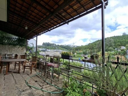 Villa 2 tầng hẻm oto Trần Thái Tông P9 cũ Đà Lạt - 268m2 - 17 tỷ