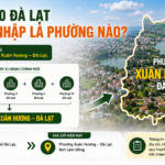 Phường 10 Đà Lạt sau sáp nhập là phường nào?