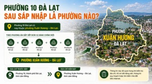 Phường 10 Đà Lạt sau sáp nhập là phường nào?