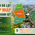 Phường 9 Đà Lạt Sau Sáp Nhập Đổi Tên Thành Gì? Nay Là Phường Nào?