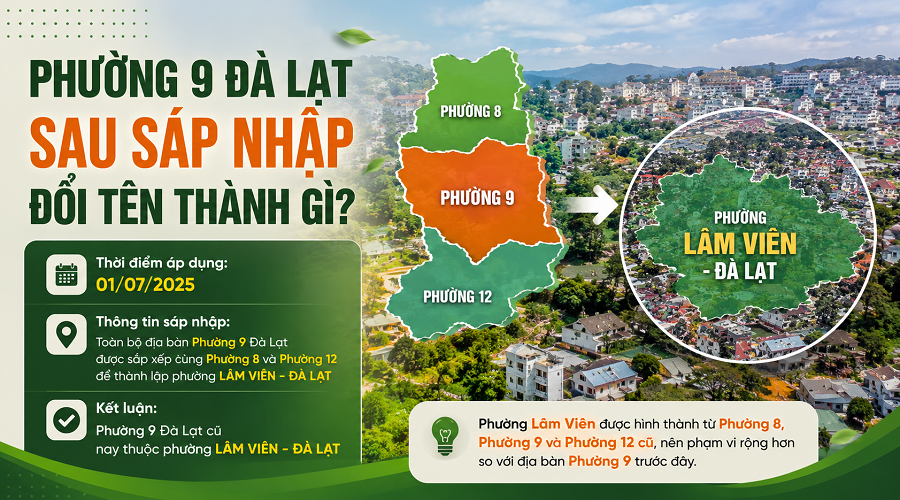 Phường 9 Đà Lạt Sau Sáp Nhập Đổi Tên Thành Gì? Nay Là Phường Nào?