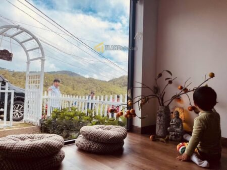 Nhà C4 hẻm oto Hoàng Hoa Thám P10 Đà Lạt - 70 m2 - 2Pn - 6.5 tỷ