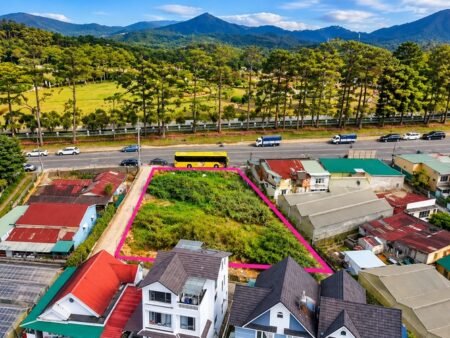 Đất 3 Mặt Tiền Mai Anh Đào P8 Đà Lạt 1045m2 Full Thổ Cư - 95 Tỷ