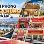 Văn Phòng Công Chứng Đà Lạt: Danh Sách Văn Phòng Uy Tín Đà Lạt