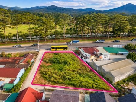 Đất 3 Mặt Tiền Mai Anh Đào P8 Đà Lạt 1045m2 Full Thổ Cư - 95 Tỷ